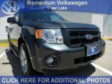 2008 Black Pearl Slate Metallic Ford Escape Limited #48815034