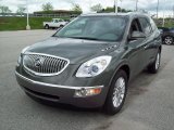 Silver Green Metallic Buick Enclave in 2011