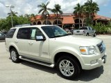 Cashmere Tri Coat Metallic Ford Expedition in 2005