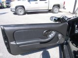 2002 Pontiac Firebird Trans Am WS-6 Coupe Door Panel