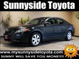 2009 Magnetic Gray Metallic Toyota Camry LE V6 #48980563