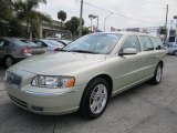 Lunar Gold Metallic Volvo V70 in 2006