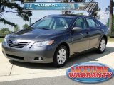 2009 Toyota Camry XLE