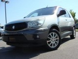 2005 Platinum Metallic Buick Rendezvous CX #49050869