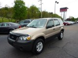 2007 Dune Pearl Metallic Ford Escape XLS 4WD #49050921