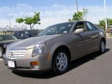 2006 Radiant Bronze Cadillac CTS Sedan #49136251