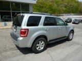 2010 Ford Escape Hybrid Limited 4WD Exterior