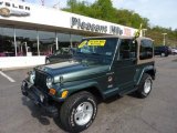 2002 Shale Green Metallic Jeep Wrangler Sahara 4x4 #49135947