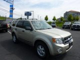 2010 Gold Leaf Metallic Ford Escape XLT 4WD #49195093