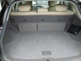 2010 Infiniti EX 35 Journey Trunk