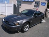 2004 Dark Shadow Grey Metallic Ford Mustang GT Coupe #49245058