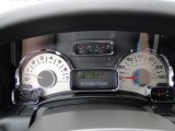 2009 Ford Expedition Limited Gauges