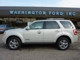2008 Light Sage Metallic Ford Escape Limited 4WD #49300180