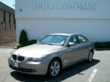 2008 Platinum Bronze Metallic BMW 5 Series 528xi Sedan #49299852