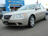 2010 Hyundai Sonata GLS