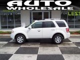 2010 Ford Escape Limited V6 4WD