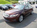 2010 Ford Taurus Limited AWD Data, Info and Specs