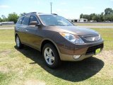2011 Sahara Bronze Metallic Hyundai Veracruz Limited #49418339