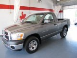 2006 Mineral Gray Metallic Dodge Ram 1500 ST Regular Cab #49469073