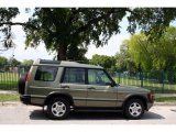 2001 Land Rover Discovery Veinna Green