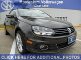 2012 Black Oak Brown Metallic Volkswagen Eos Executive #49515223