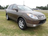 2011 Sahara Bronze Metallic Hyundai Veracruz Limited #49565951