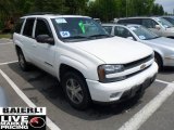 2004 Chevrolet TrailBlazer LS 4x4