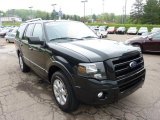 2010 Ford Expedition Limited 4x4 Front 3/4 View