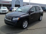 2011 Blackberry Pearl Jeep Compass 2.4 #49650915