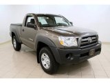 2010 Pyrite Mica Toyota Tacoma Regular Cab 4x4 #49657321