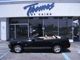 2009 Black Ford Mustang V6 Convertible #49657254