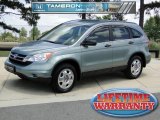 2010 Glacier Blue Metallic Honda CR-V LX #49695411