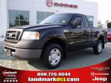 2007 Ford F150 XL Regular Cab