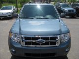 2011 Steel Blue Metallic Ford Escape XLT 4WD #49695181