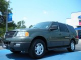 2004 Estate Green Metallic Ford Expedition XLT 4x4 #49748149