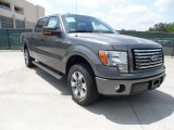 Sterling Grey Metallic Ford F150 in 2011