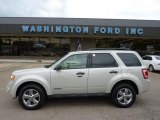 2008 Ford Escape XLT V6 4WD