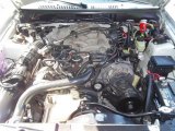 1999 Ford Mustang V6 Convertible 3.8 Liter OHV 12-Valve V6 Engine