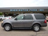 2010 Sterling Grey Metallic Ford Expedition XLT 4x4 #49799282