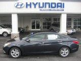 2011 Pacific Blue Pearl Hyundai Sonata Limited 2.0T #49856068