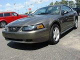 2002 Mineral Grey Metallic Ford Mustang V6 Coupe #49904918