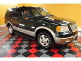 2003 Ford Expedition Aspen Green Metallic
