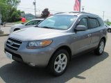 2007 Steel Gray Hyundai Santa Fe Limited 4WD #49950688