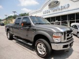 2010 Sterling Gray Metallic Ford F250 Super Duty XLT Crew Cab 4x4 #49992152