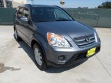 2005 Pewter Pearl Honda CR-V Special Edition 4WD #49992189