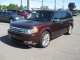 2010 Ford Flex Cinnamon Metallic