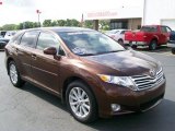 2009 Sunset Bronze Mica Toyota Venza I4 #50037433