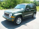 2006 Jeep Green Metallic Jeep Liberty Limited 4x4 #50086168