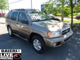 2002 Bronzed Gray Metallic Nissan Pathfinder SE 4x4 #50085389