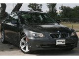 2010 BMW 5 Series 528i Sedan